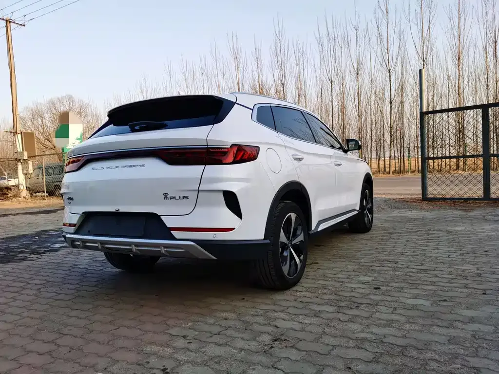 BYD PLUS New Energy 2021 из CN, фото 4