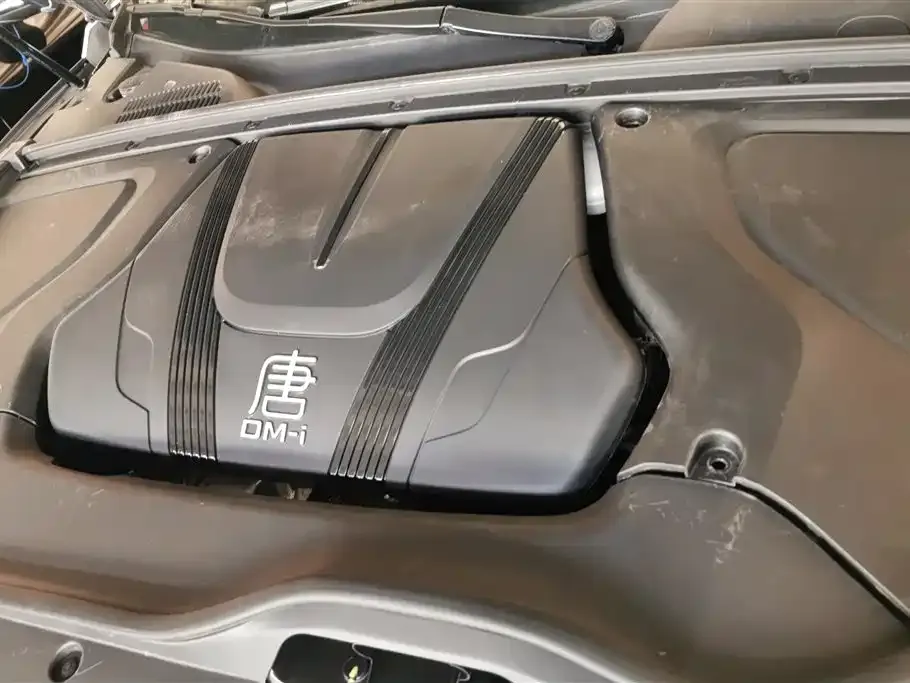 BYD Tang New Energy 2023 из CN, фото 6