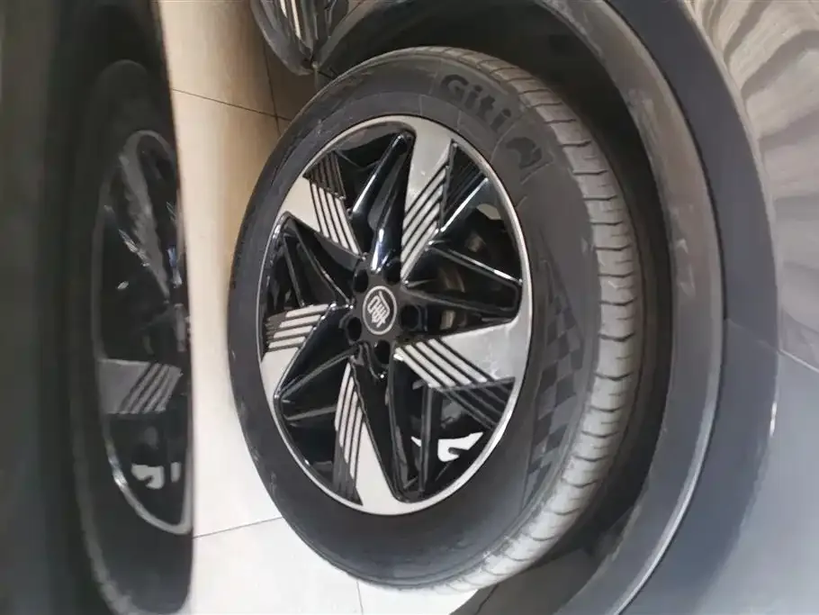 BYD Tang New Energy 2023 из CN, фото 3