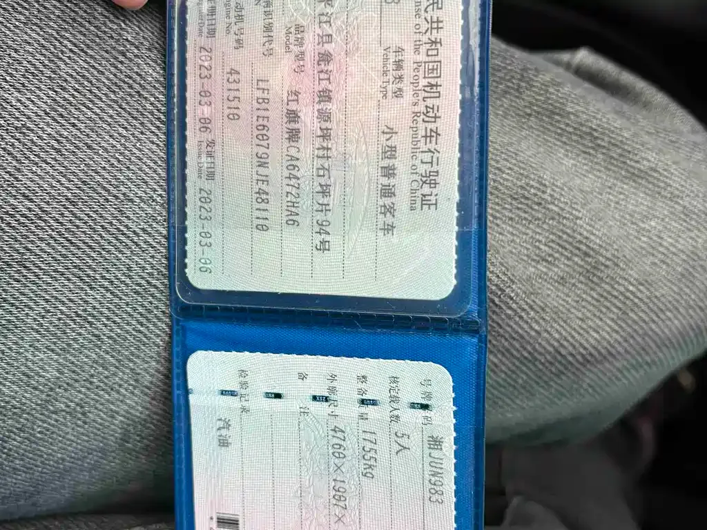 Hongqi HS5 2023 из CN, фото 6