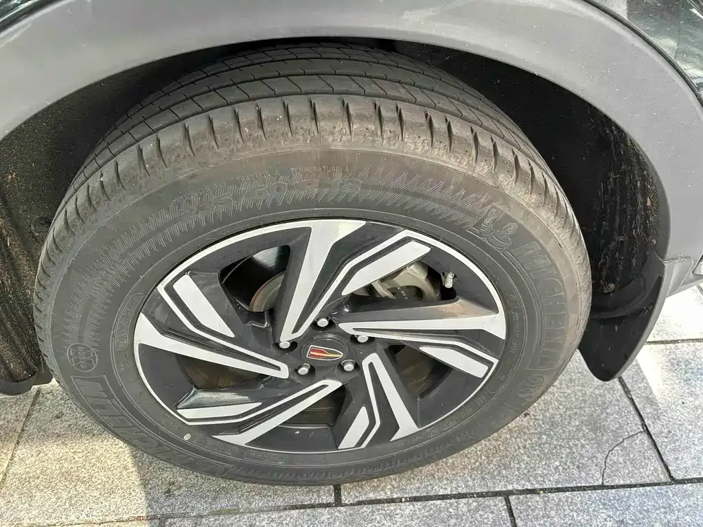 Hongqi HS5 2023 из CN, фото 9