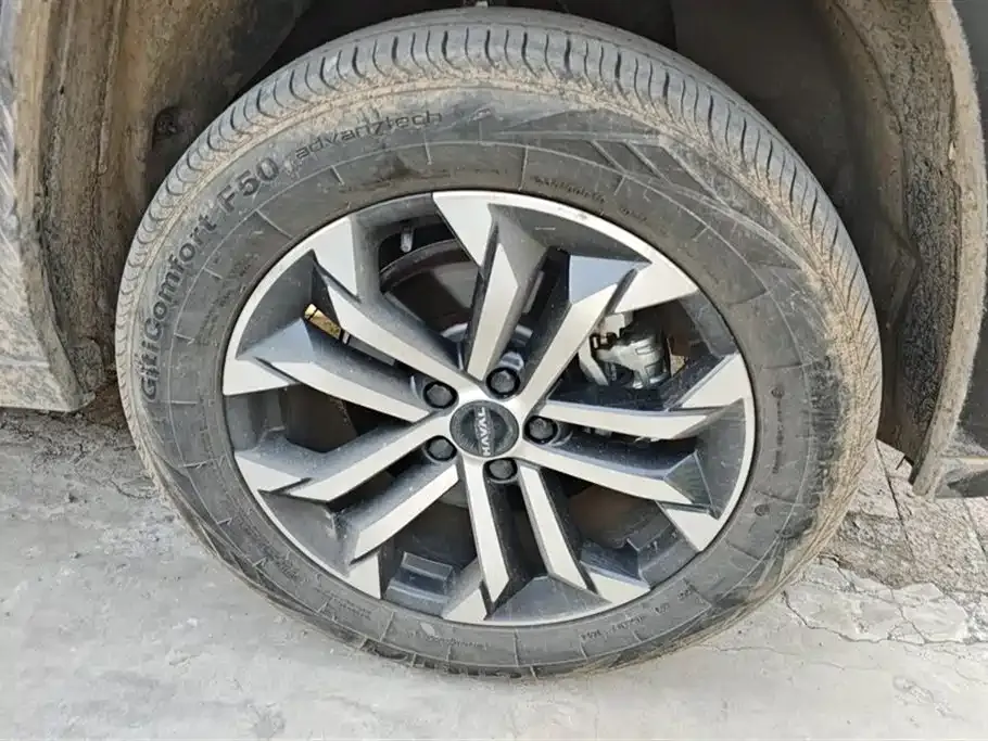 Haval H7 (Big Dog Plus) — фото 10