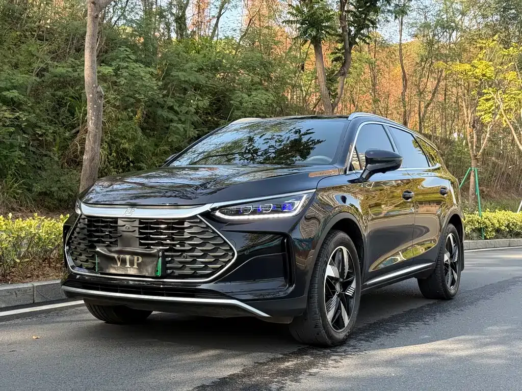 BYD Tang New Energy 2024 из CN, фото 1