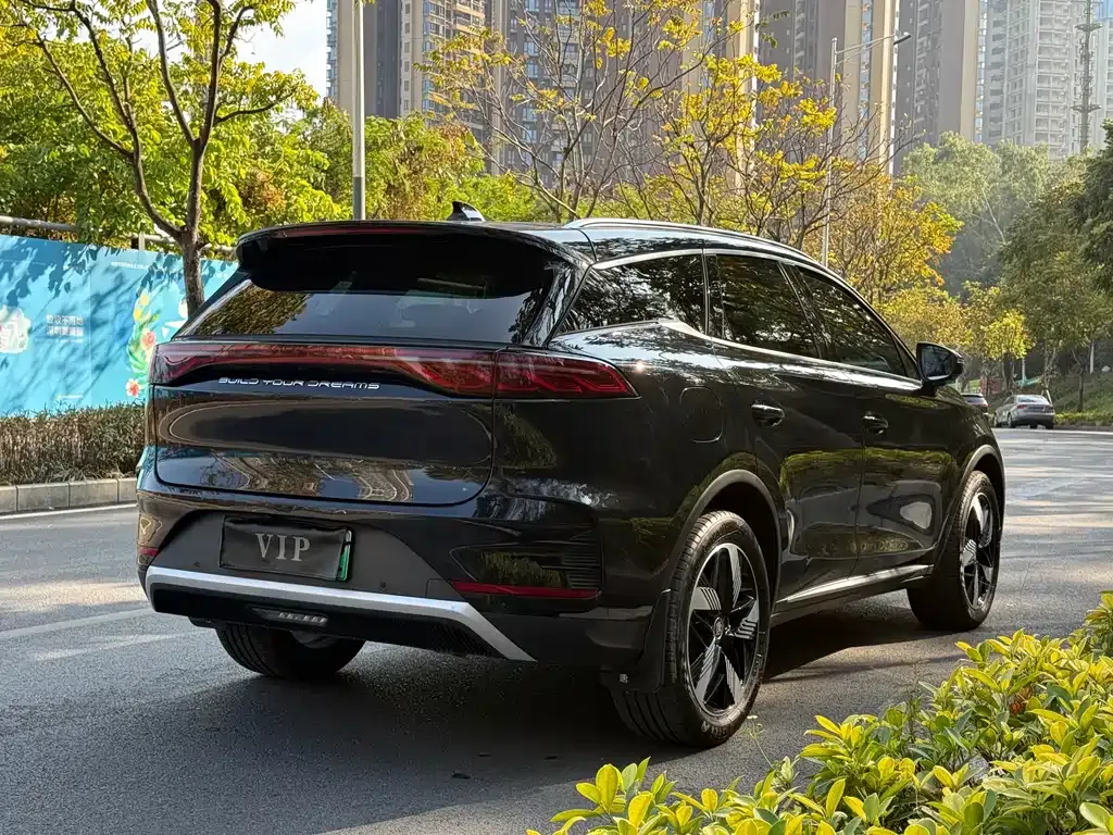 BYD Tang New Energy 2024 из CN, фото 8