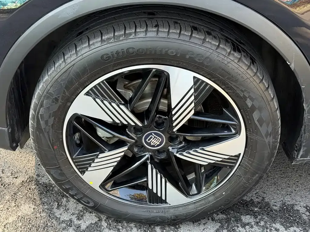 BYD Tang New Energy 2024 из CN, фото 4