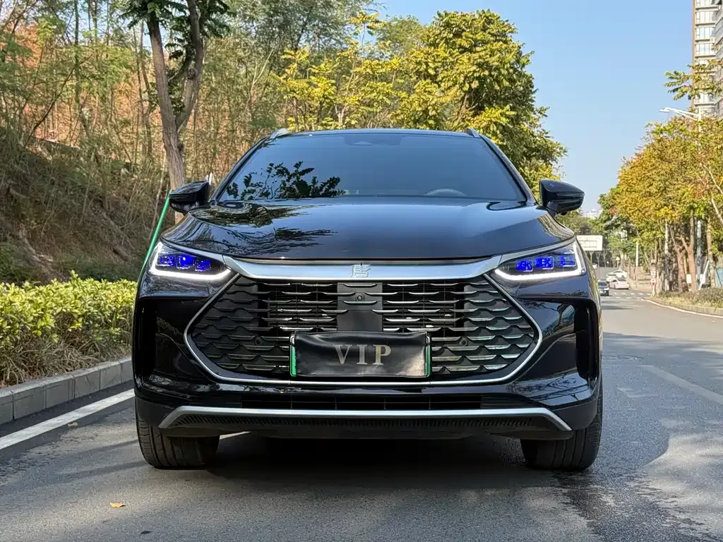 BYD Tang New Energy 2024 из CN, фото 9