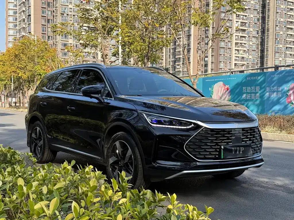 BYD Tang New Energy 2024 из CN, фото 10