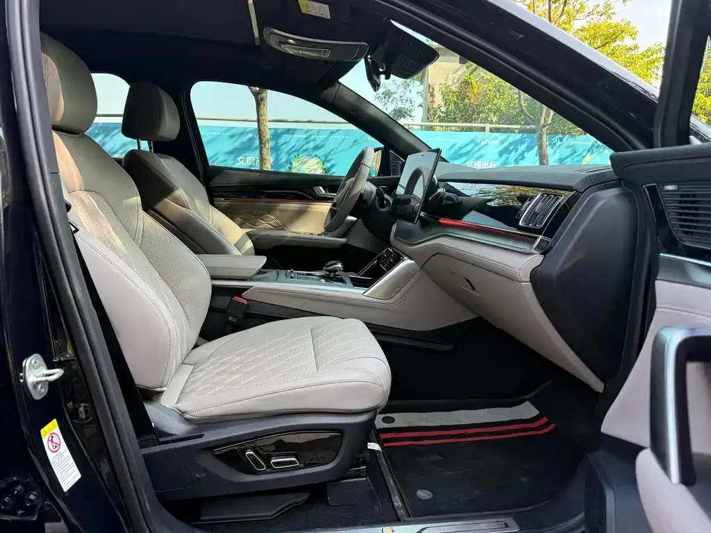 BYD Tang New Energy 2024 из CN, фото 2