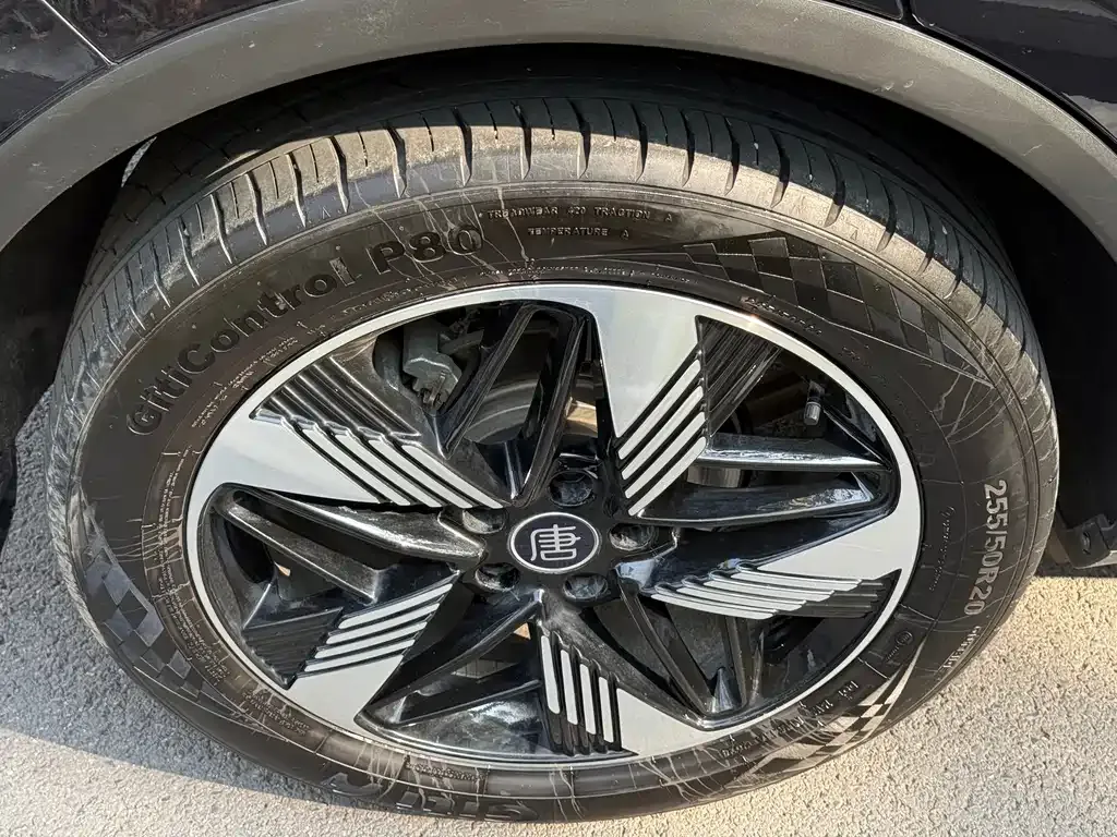 BYD Tang New Energy 2024 из CN, фото 3