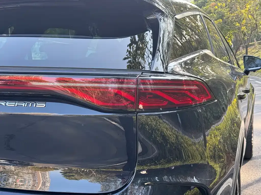 BYD Tang New Energy 2024 из CN, фото 6