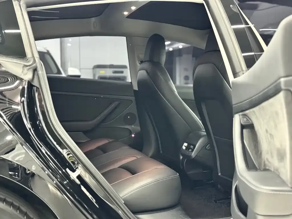 Tesla Model 3 2023 из CN, фото 6