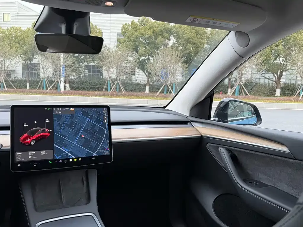 Tesla Model Y — фото 6
