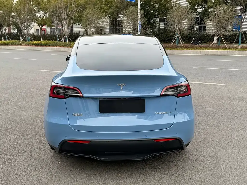 Tesla Model Y — фото 9