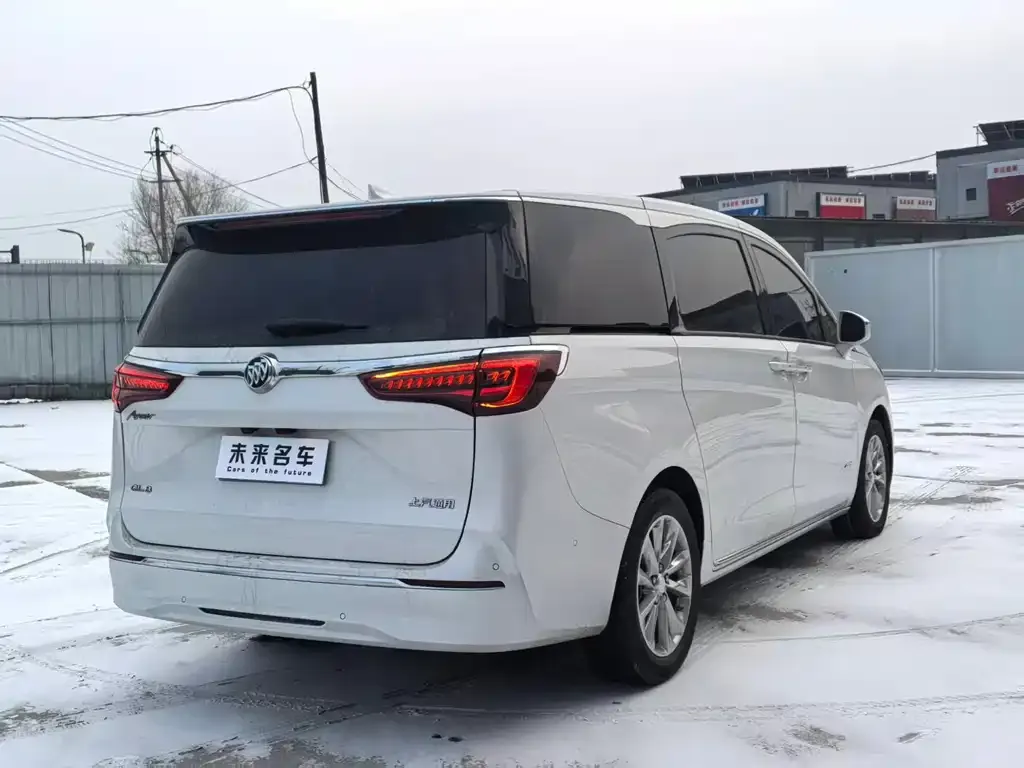 Buick GL8 2023 из CN, фото 10