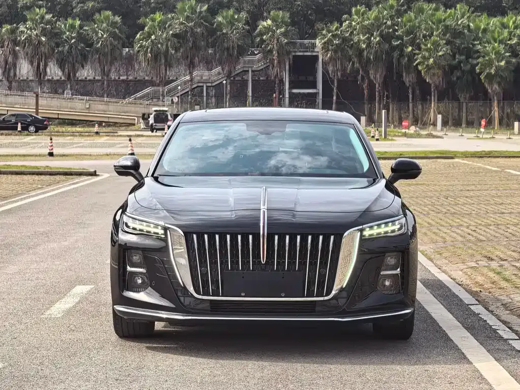 Hongqi H5 2025 из CN, фото 6