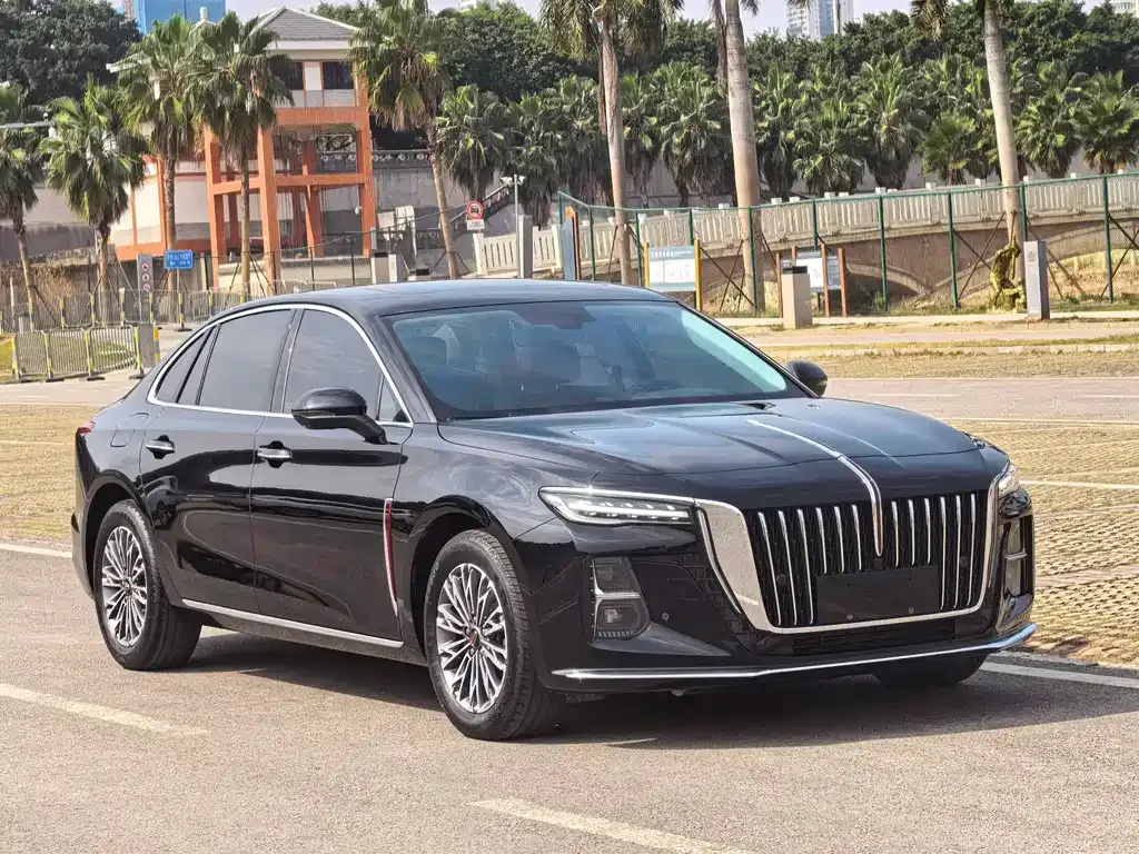 Hongqi H5 2025 из CN, фото 3