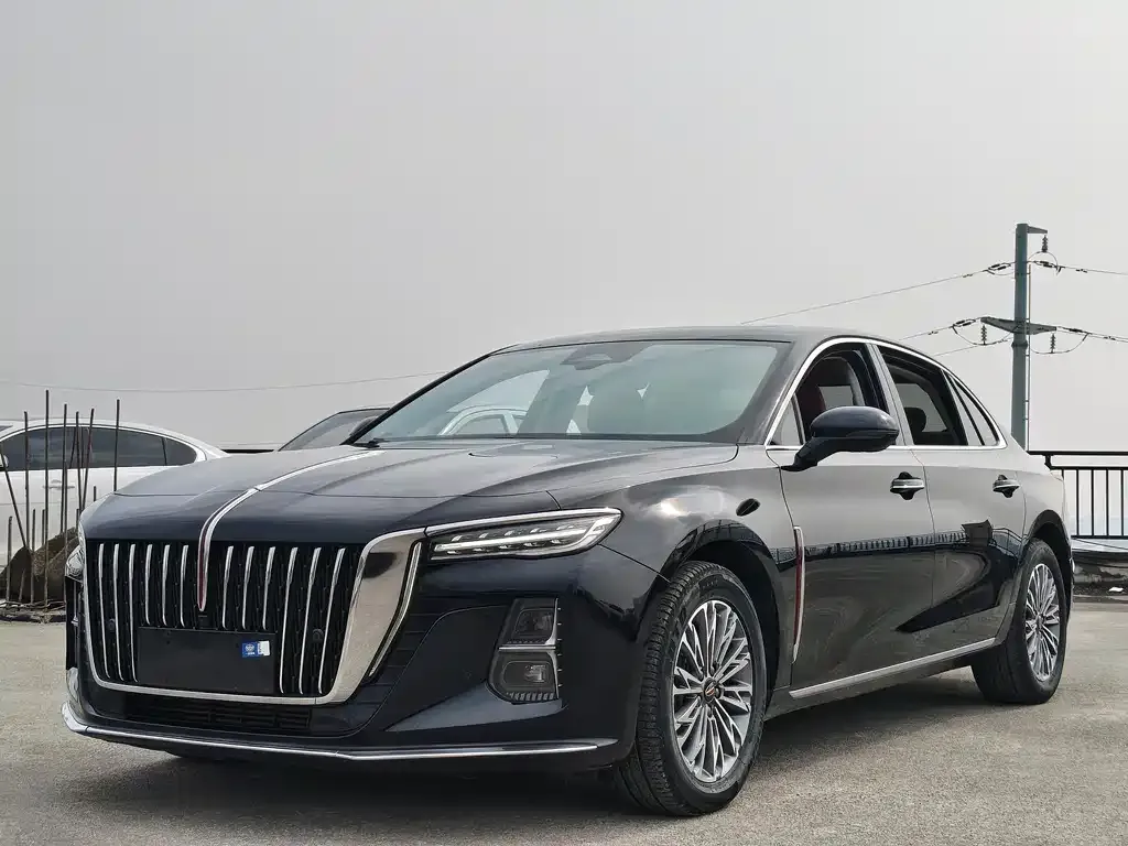 Hongqi H5 2023 из CN, фото 1