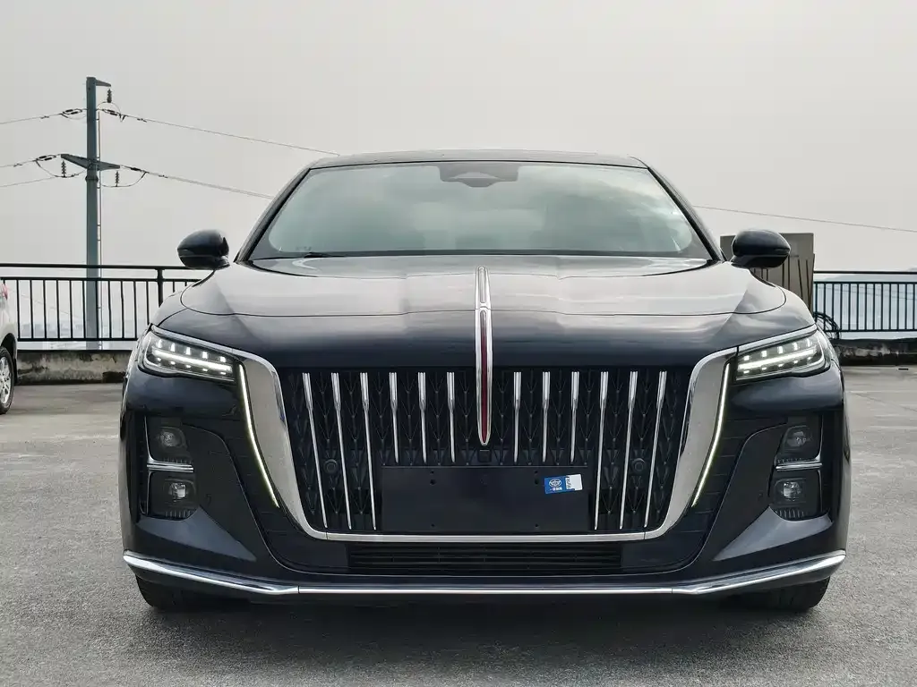 Hongqi H5 2023 из CN, фото 4