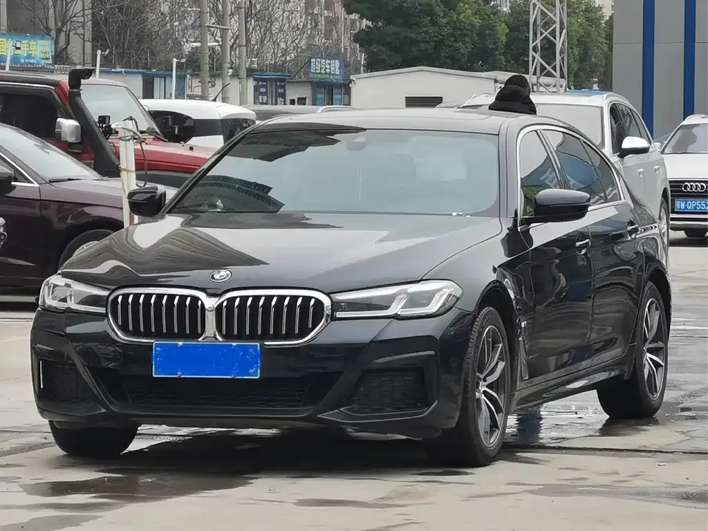 BMW 5 Series 2021 из CN, фото 1