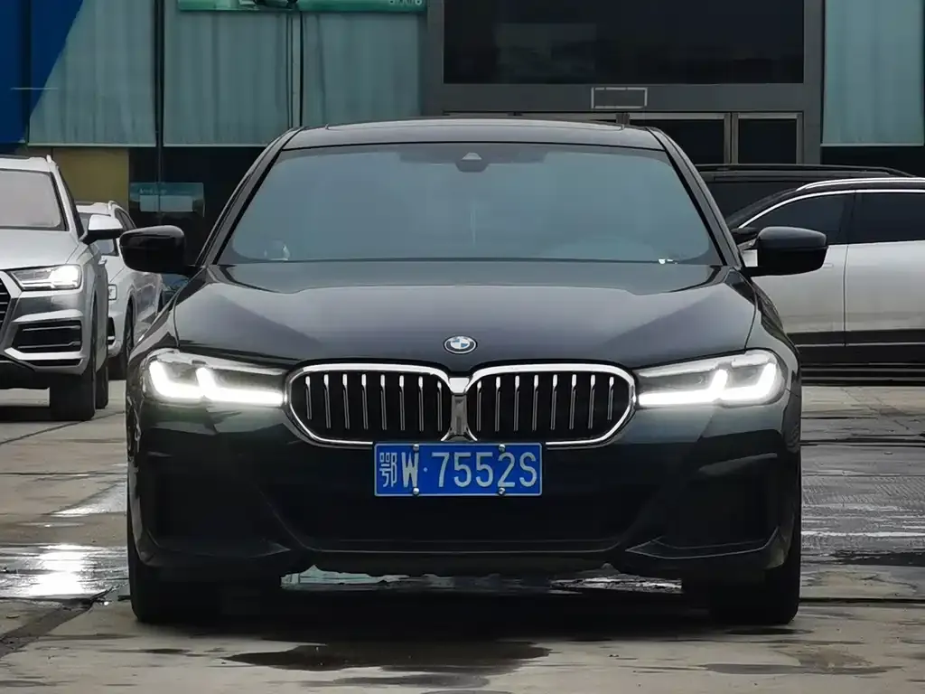 BMW 5 Series 2021 из CN, фото 3