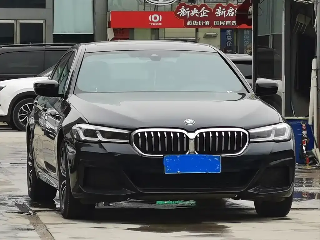 BMW 5 Series 2021 из CN, фото 7