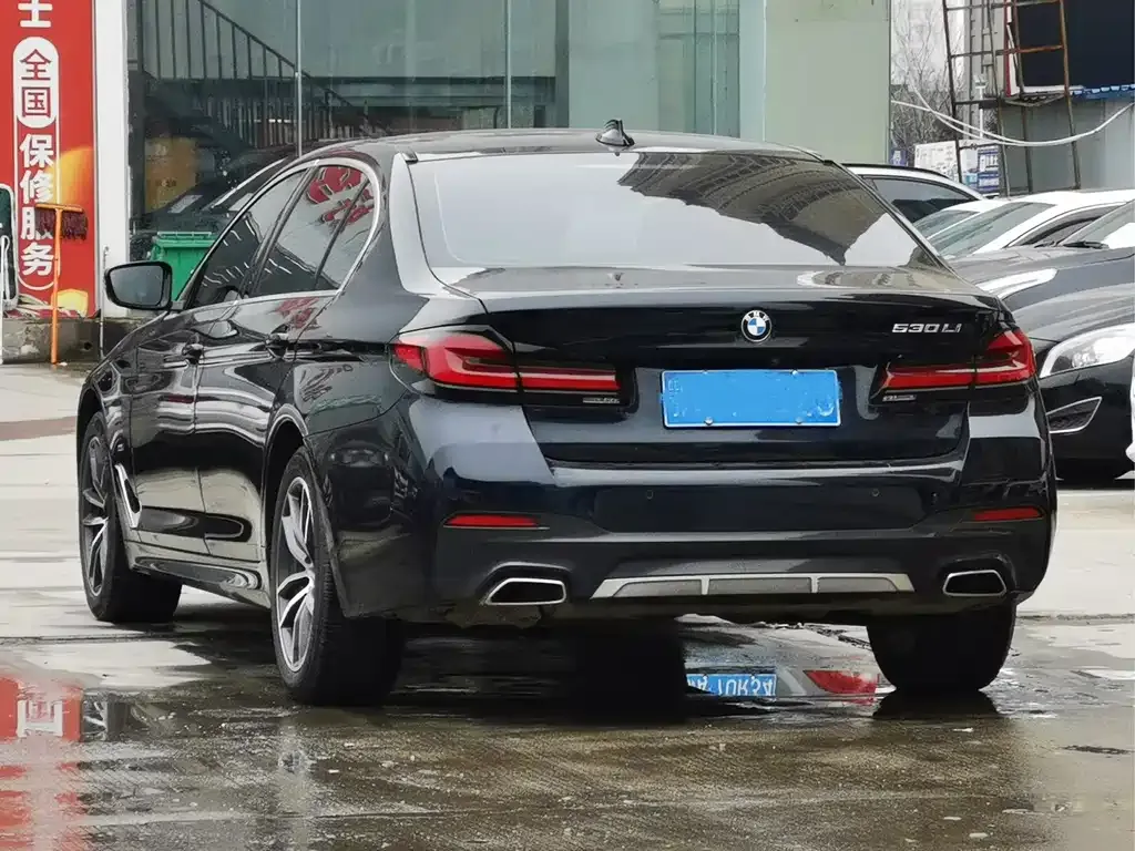 BMW 5 Series 2021 из CN, фото 8