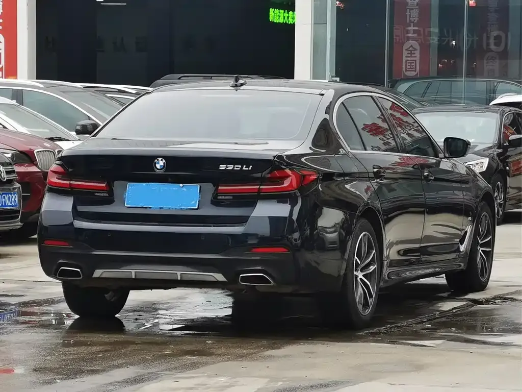 BMW 5 Series 2021 из CN, фото 10