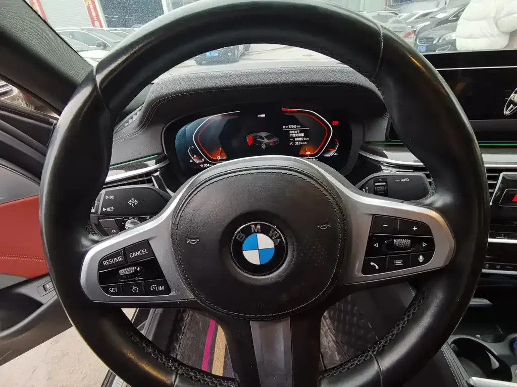 BMW 5 Series 2021 из CN, фото 6