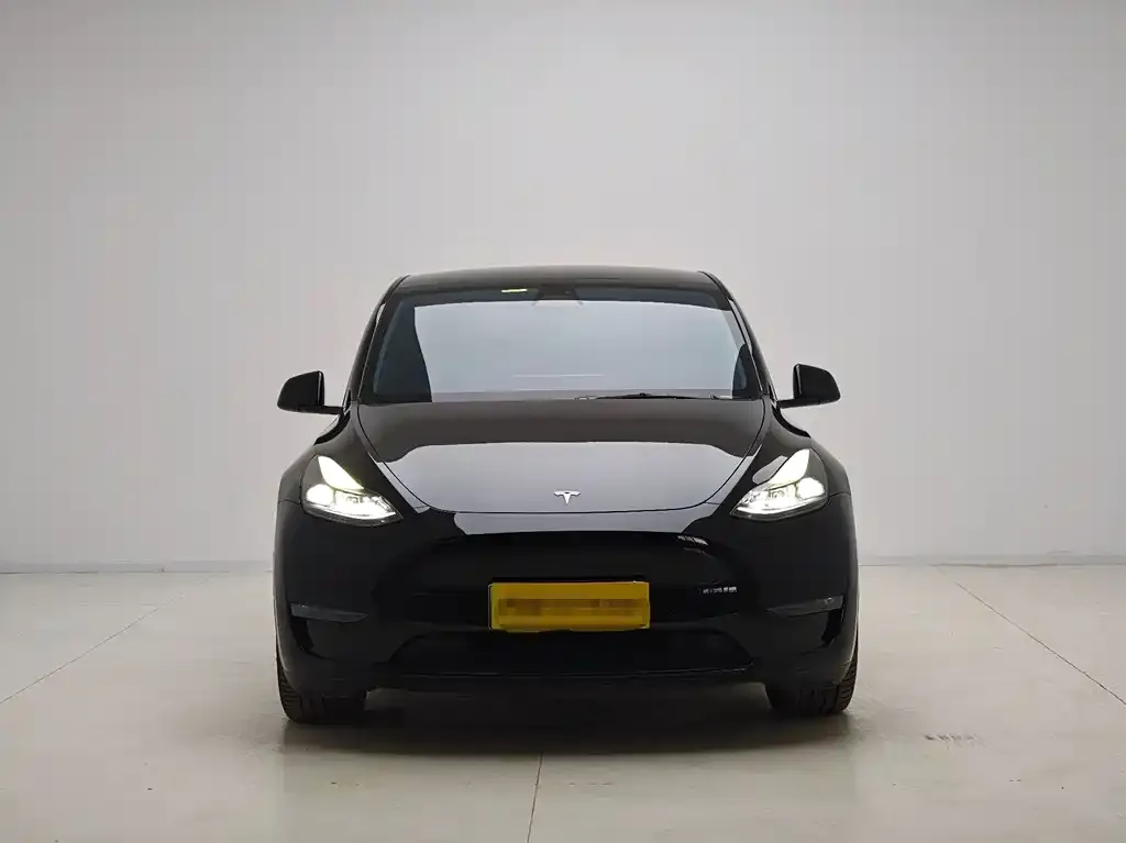 Tesla Model Y 2022 из CN, фото 4