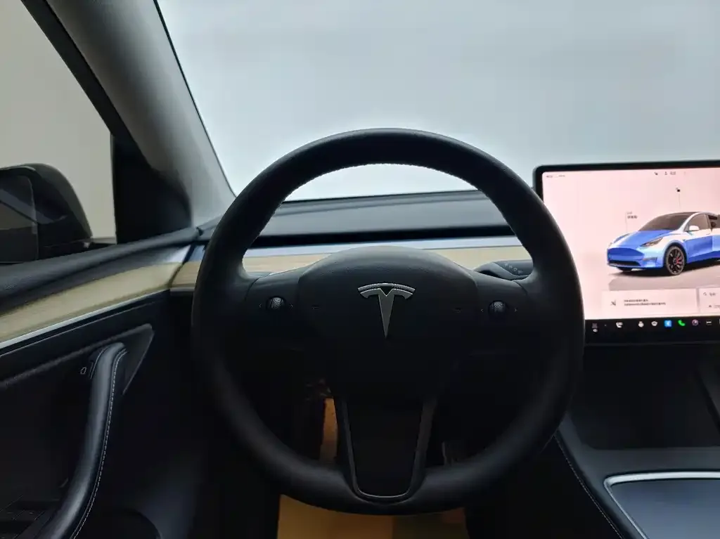 Tesla Model Y 2022 из CN, фото 5