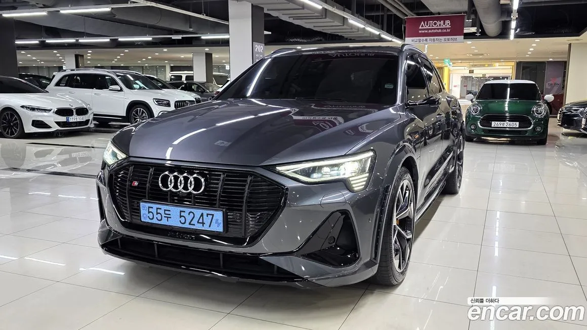 Audi e-tron 2022 из KR, фото 1