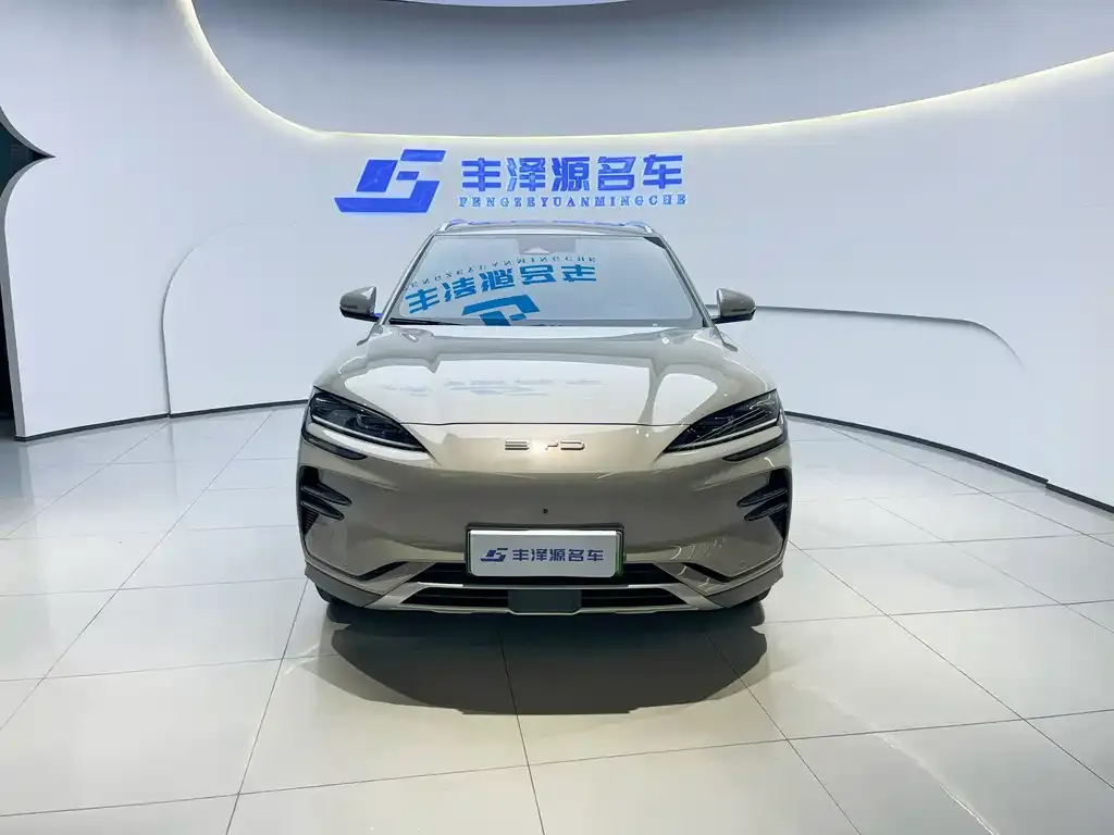 BYD PLUS New Energy 2023 из CN, фото 9