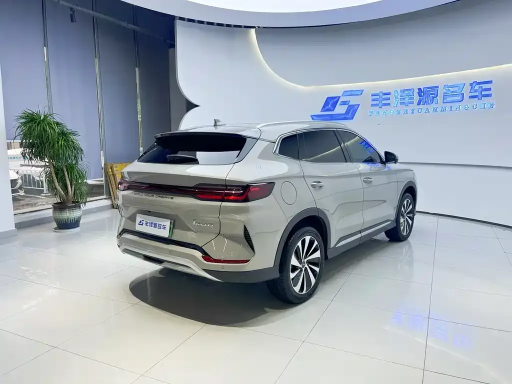 BYD PLUS New Energy 2023 из CN, фото 3