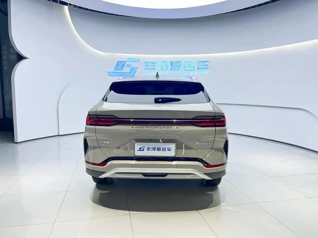 BYD PLUS New Energy 2023 из CN, фото 2