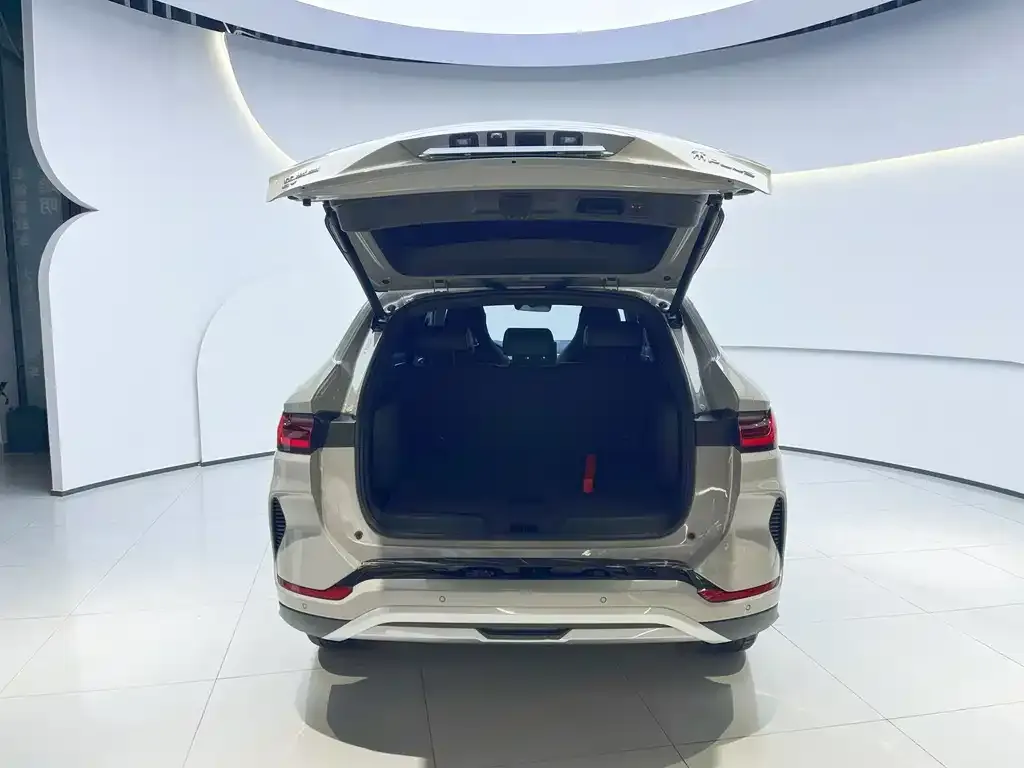 BYD PLUS New Energy 2023 из CN, фото 4