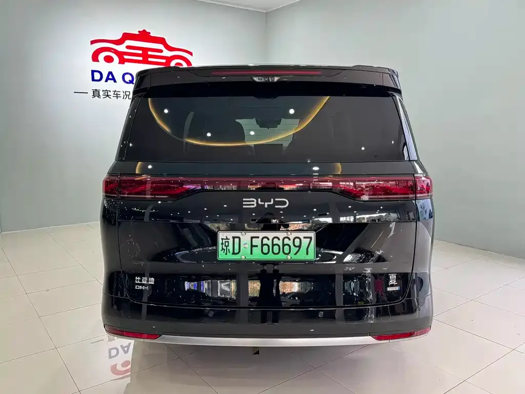 BYD Xia 2025 из CN, фото 4