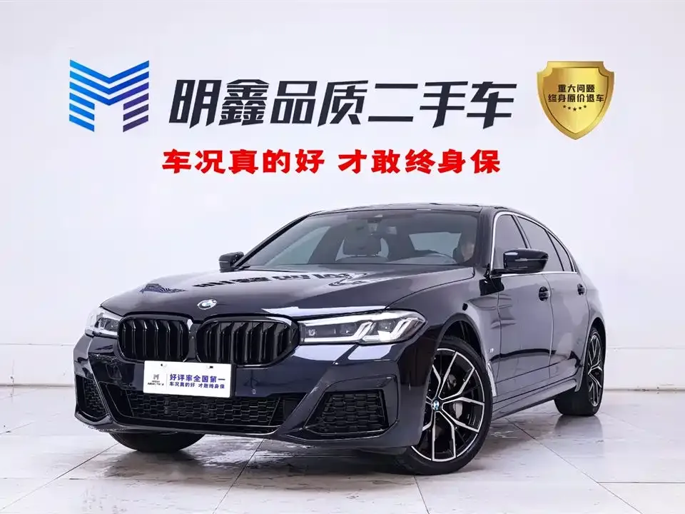 BMW 5 Series 2023 из CN, фото 6