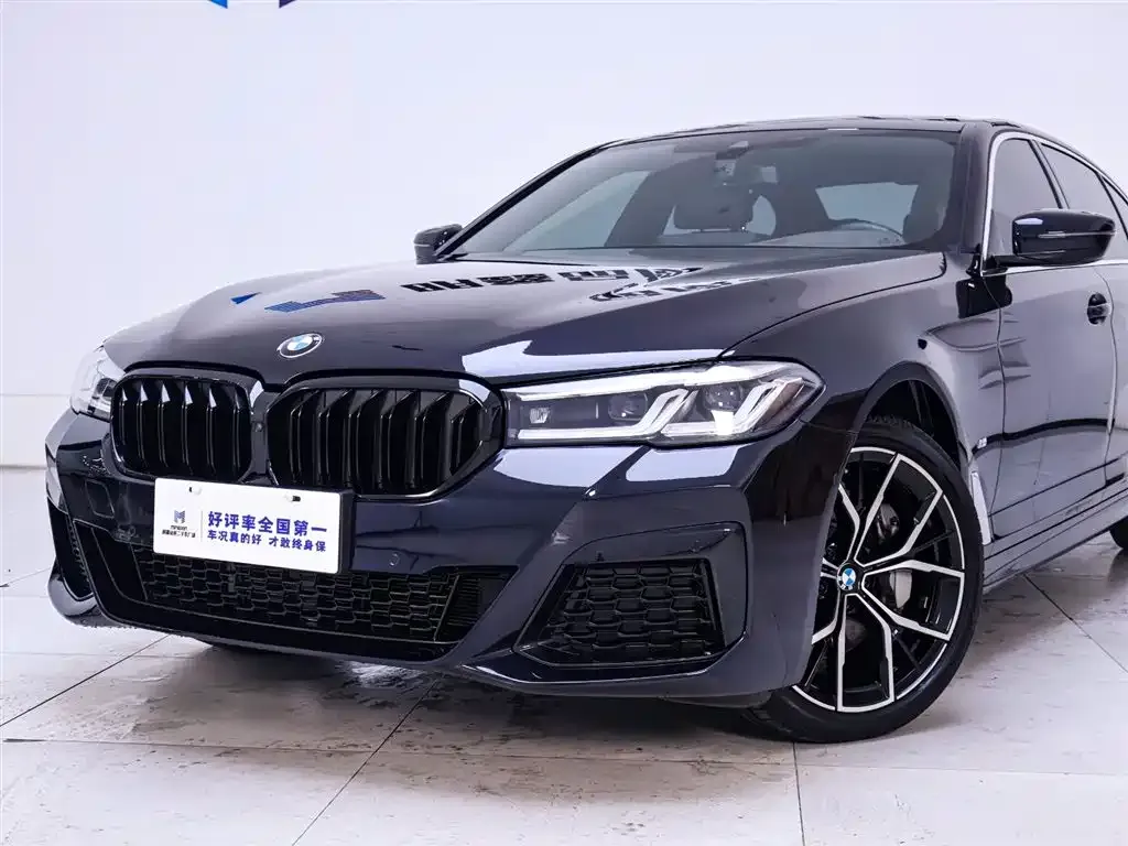 BMW 5 Series 2023 из CN, фото 9