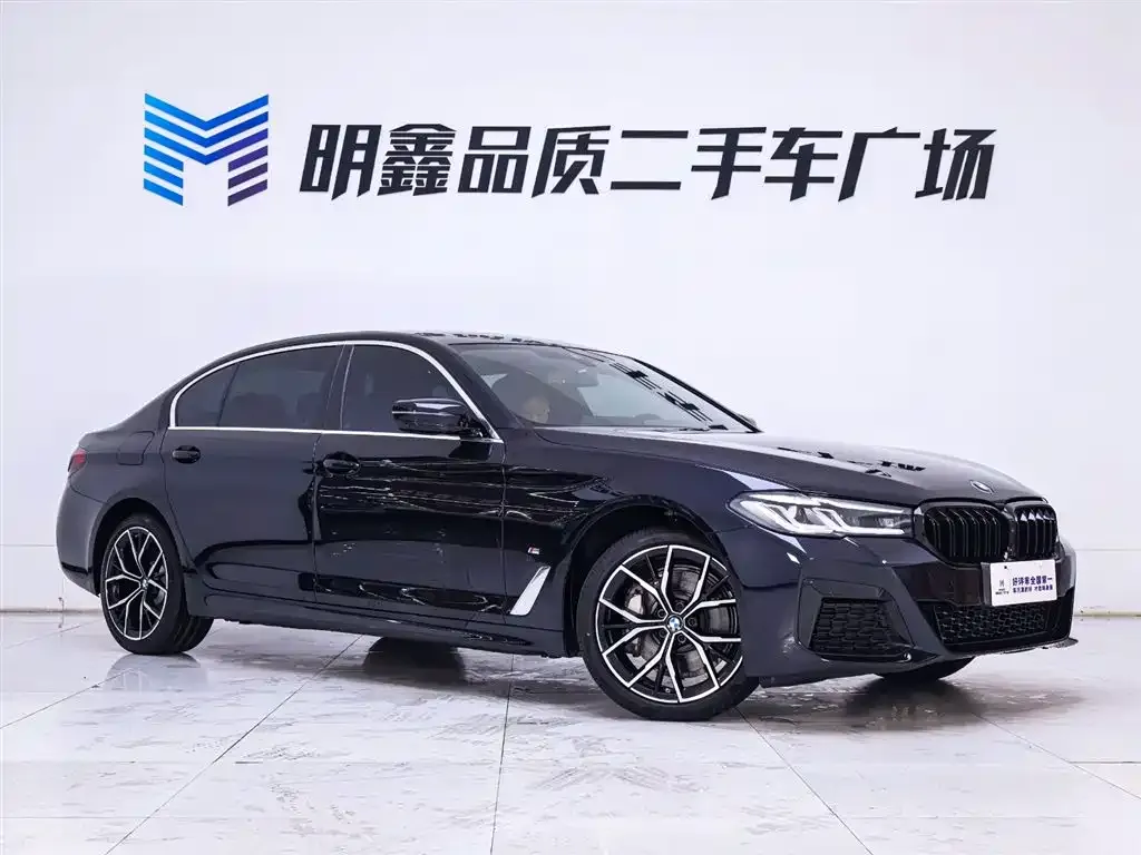 BMW 5 Series 2023 из CN, фото 7