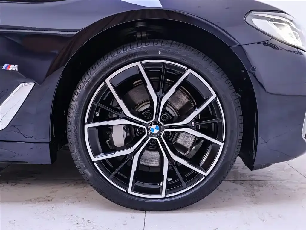 BMW 5 Series 2023 из CN, фото 10