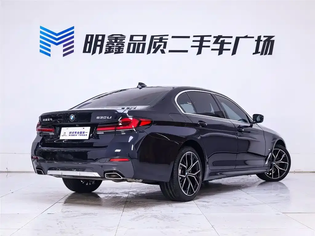 BMW 5 Series 2023 из CN, фото 8