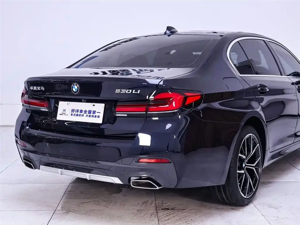 BMW 5 Series 2023 из CN, фото 5