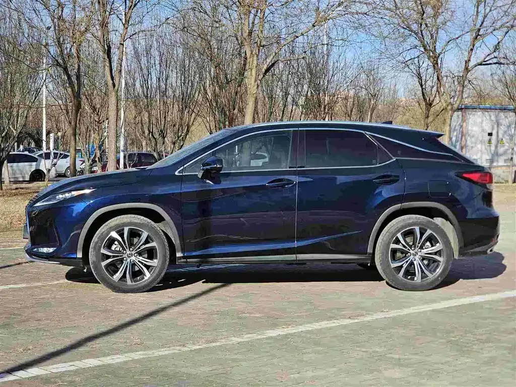 Lexus RX — фото 10