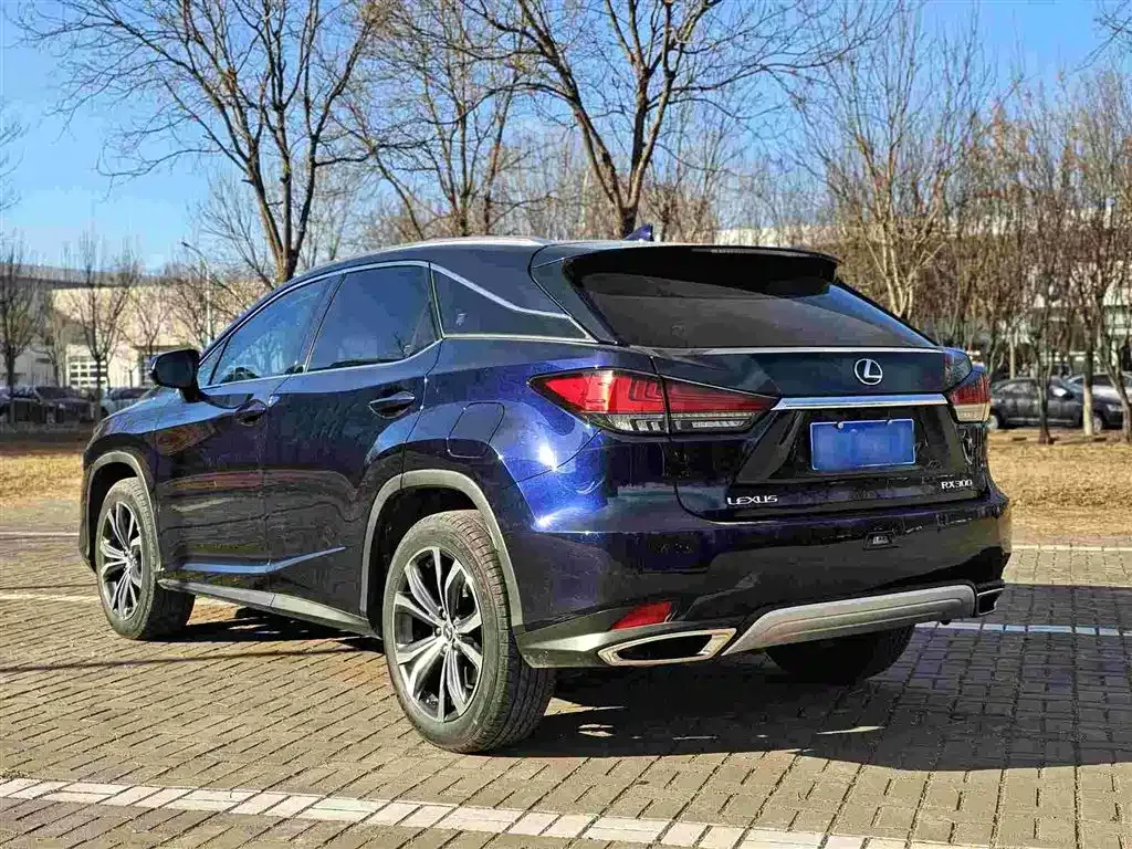 Lexus RX — фото 6