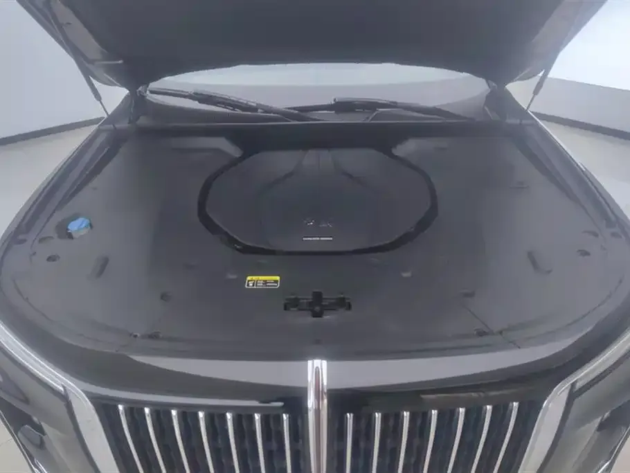Hongqi H9 2022 из CN, фото 2