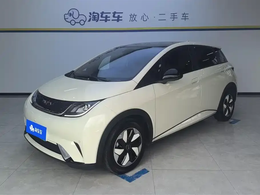 BYD Dolphin 2024 из CN, фото 1
