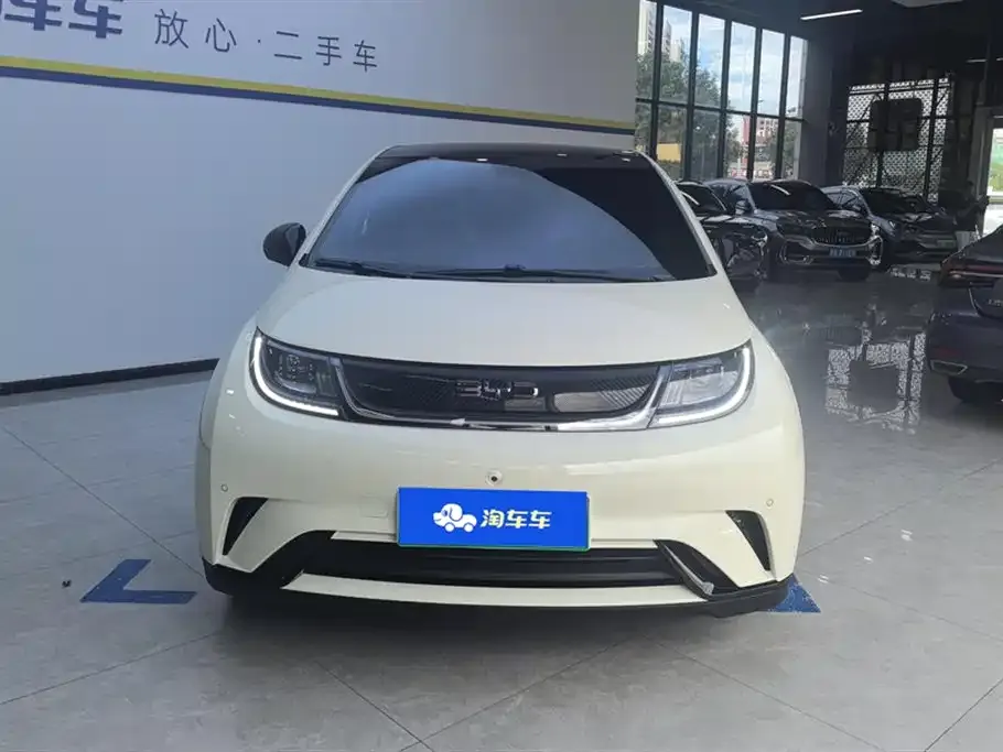 BYD Dolphin 2024 из CN, фото 9
