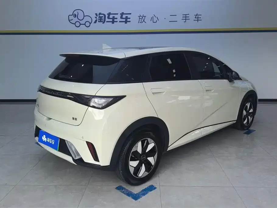 BYD Dolphin 2024 из CN, фото 8
