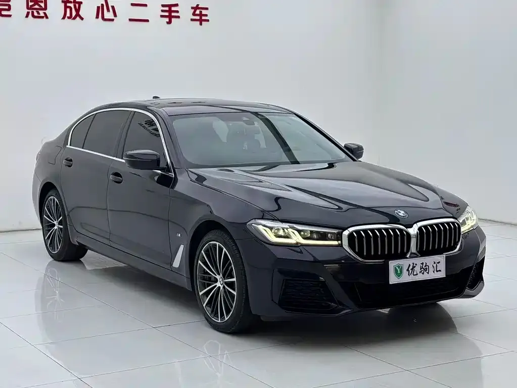 BMW 5 Series 2022 из CN, фото 7