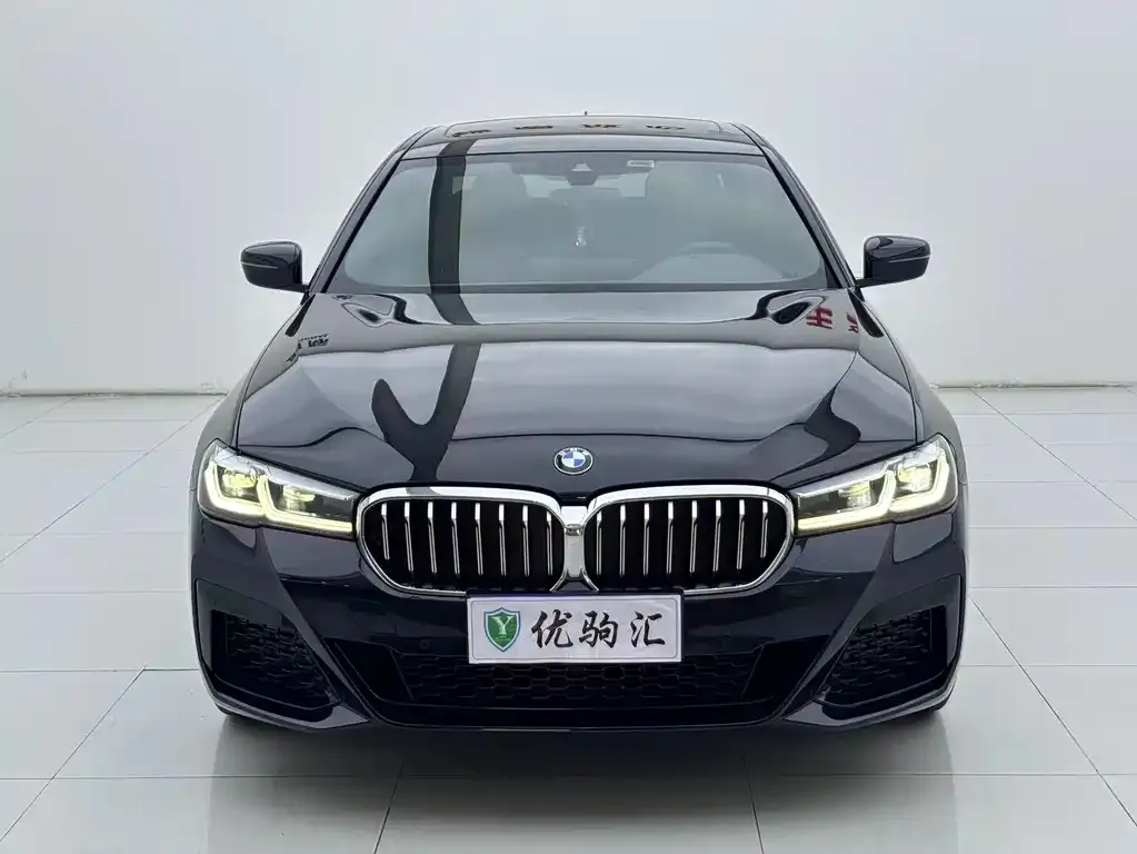 BMW 5 Series 2022 из CN, фото 8